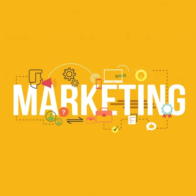 study marketing