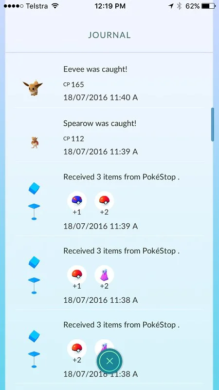 Pokemon Go journal