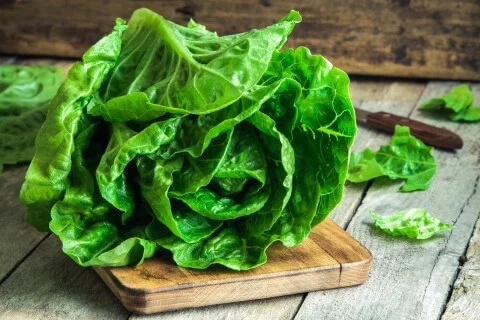 romaine lettuce, healthy, cheap food