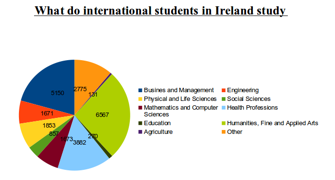 program in Ireland