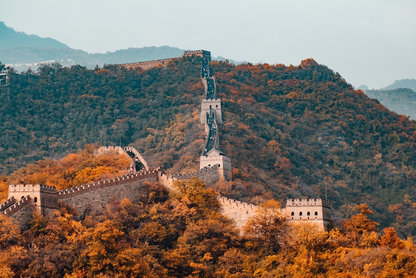 study law in china