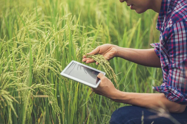 agriculture studies