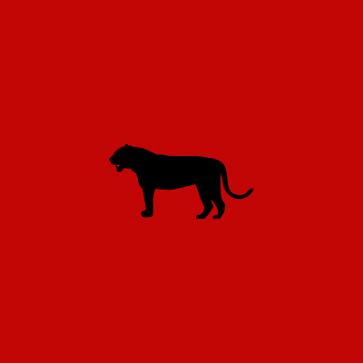 2022 Chinese New Year tiger.