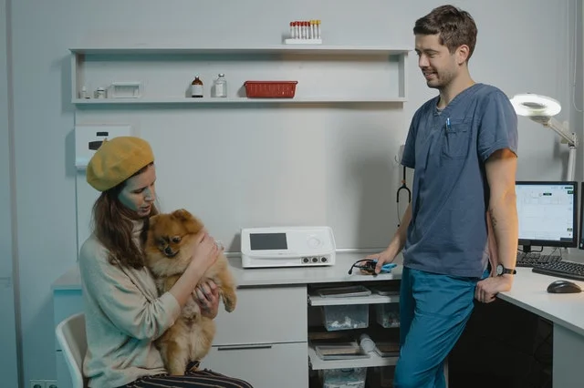 Dog owner talking to a veterinarian.