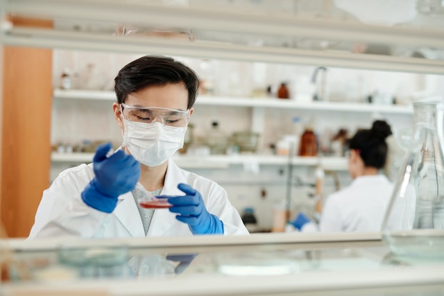 Student in lab holding petri dish.